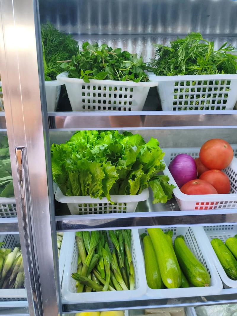 食品商贸行业的风向标：洞察市场新趋势